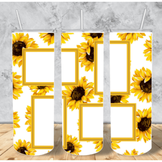 Sunflower & White